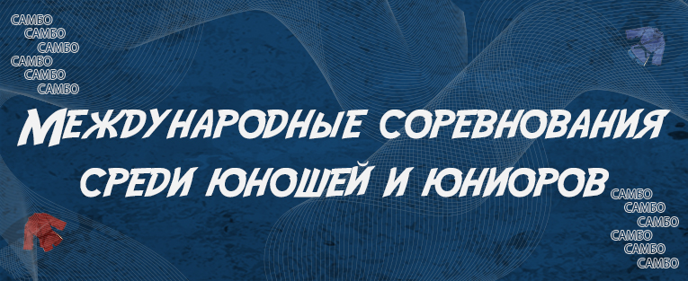 Международные  соревнования по самбо