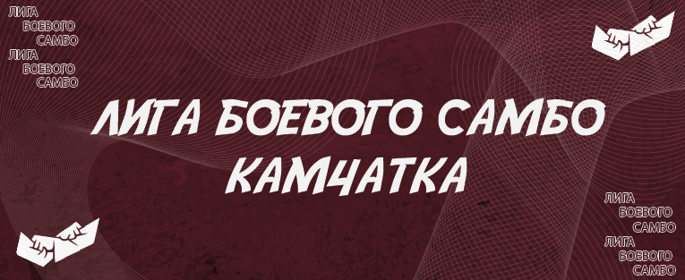 #4604 Международные соревнования Гран При Лиги боевого самбо